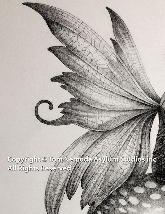 Fawna on a Toadstool